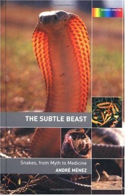 The Subtle Beast