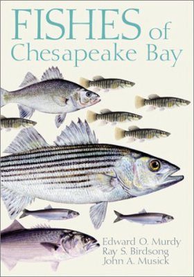 Fishes of Chesapeake Bay