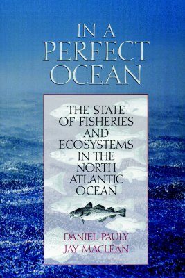 In a Perfect Ocean
