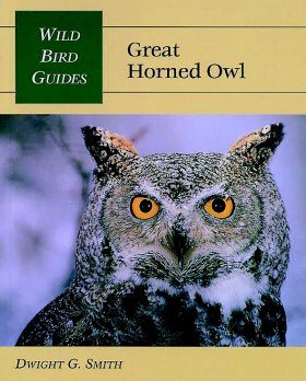 Great Horned Owl