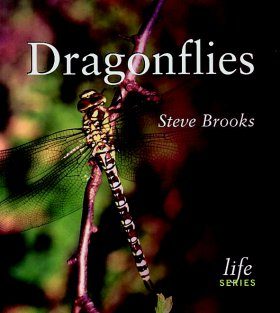 Dragonflies