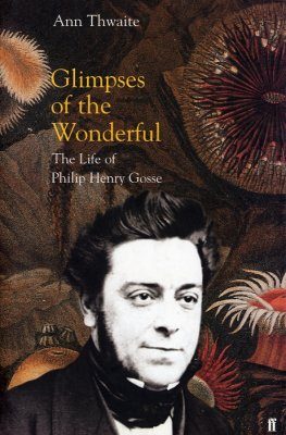 Glimpses of the Wonderful