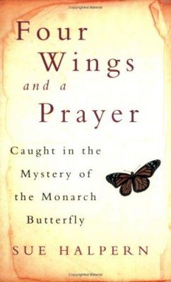 Four Wings and a Prayer