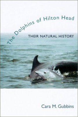 Dolphins of Hilton Head