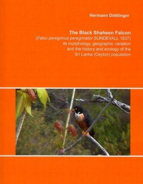 The Black Shaheen Falcon (Falco peregrinus peregrinator Sundevall 1837), its Morphology, Geographic Variation and the History and Ecology of the Sri Lanka (Ceylon) Population