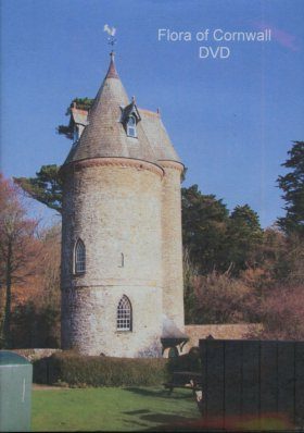Flora of Cornwall - DVD-ROM