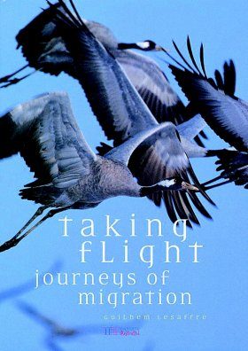 Taking Flight