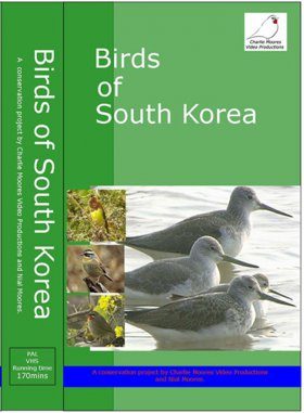 Birds of South Korea