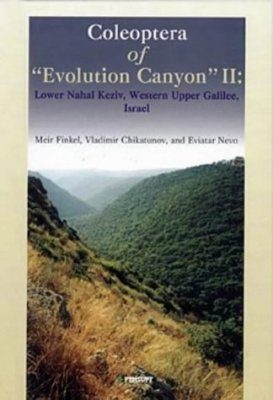 Coleoptera of "Evolution Canyon" II