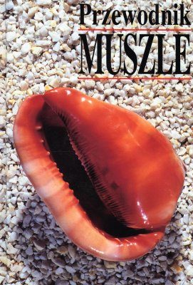 Przewodnik Muszle