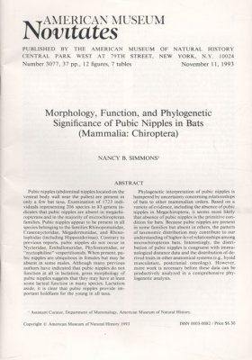 Morphology, Function and Phylogenetic Significance of Pubic Nipples in Bats (Mammalia: Chiroptera)