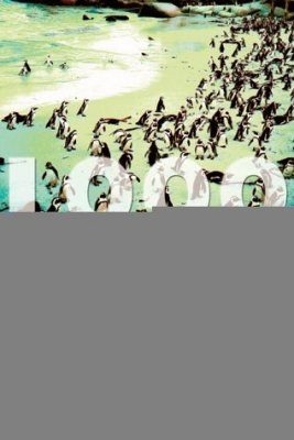 Around the World with 1000 Birds