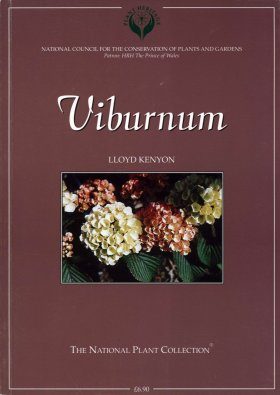 Viburnum