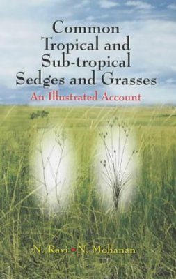 Common Tropical and Sub-Tropical Sedges and Grasses