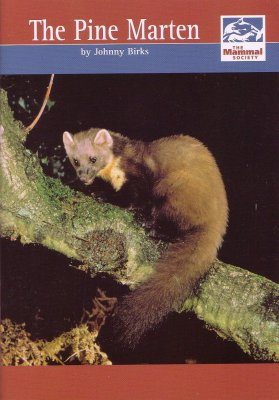 The Pine Marten