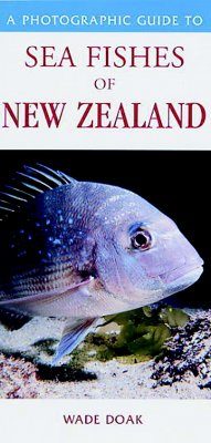 A Photographic Guide to Sea Fishes of New Zealand