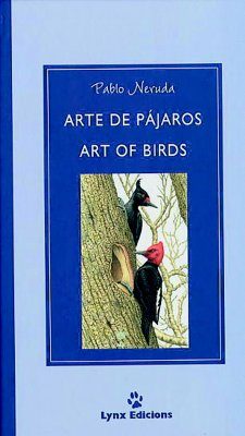 Art of Birds / Arte de Pájaros