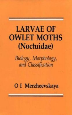 Larvae of the Owlet Moths
