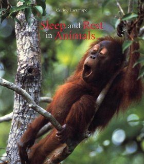 Sleep and Rest in Animals