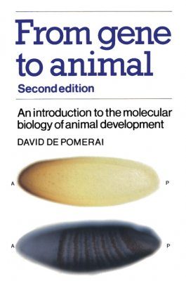 From Gene to Animal