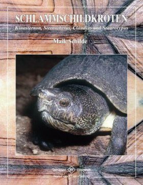Schlammschildkroten: Kinosternon, Sternotherus, Claudius und Staurotypus