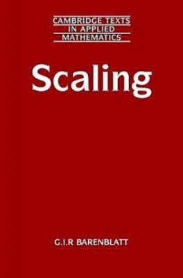 Scaling Phenomena