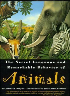 Secret Language and Remarkable Behaviour of Animals