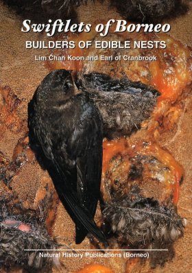 Swiftlets of Borneo