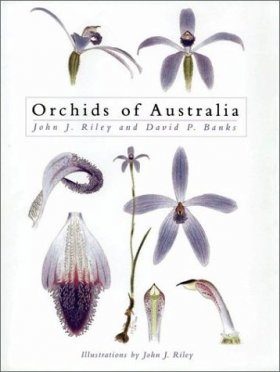 Orchids of Australia