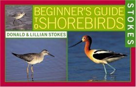 Stokes Beginner's Guide to Shorebirds