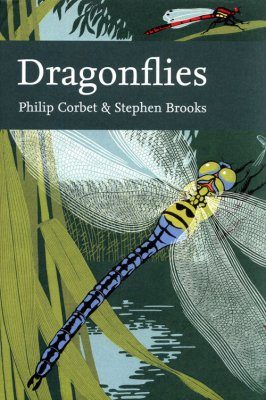 Dragonflies