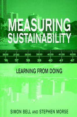 Measuring Sustainability