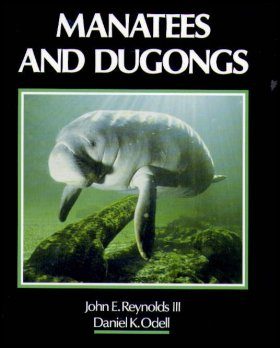 Manatees and Dugongs