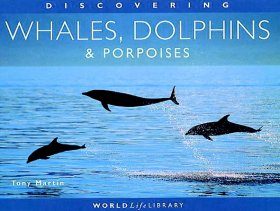 Discovering Whales, Dolphins and Porpoises