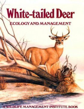 White-Tailed Deer