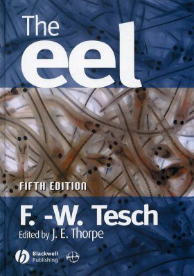 The Eel