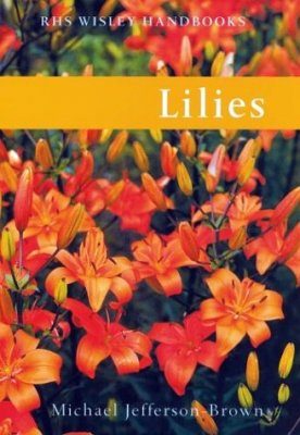 Lilies