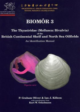 The Thyasiridae (Mollusca: Bivalvia) of the British Continental Shelf and North Sea Oilfields