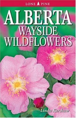 Alberta Wayside Wildflowers