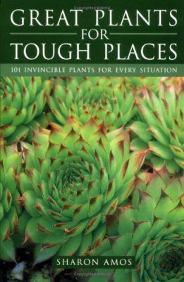 Great Plants for Tough Places