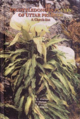 Dicotyledonous Plants of Uttar Pradesh
