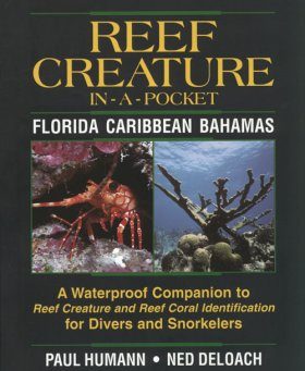 Reef Creature In-A-Pocket: Florida, Caribbean, Bahamas