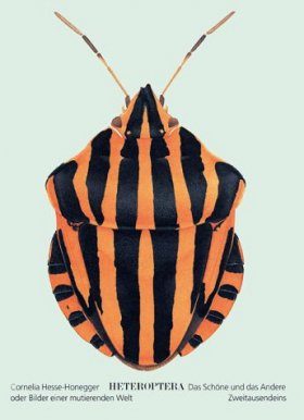 Heteroptera: The Beautiful and the Other or Images of a Mutating World