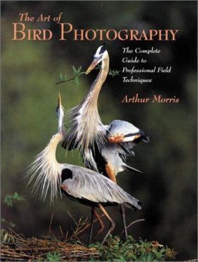 The Art of Bird Photography