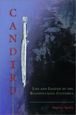 Candiru: Life and Legend of the Bloodsucking Catfishes
