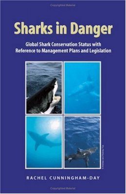 Sharks in Danger