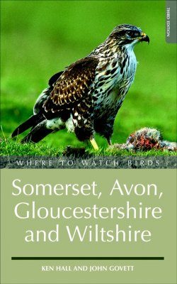 Where to Watch Birds in Somerset, Gloucestershire and Wiltshire
