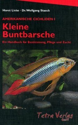 Amerikanische Cichliden 1: Kleine Buntbarsche