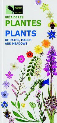 Plants of Paths, Marsh and Meadows in Albufera Natural Park, Majorca