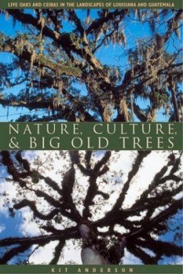 Nature, Culture, and Big Old Trees